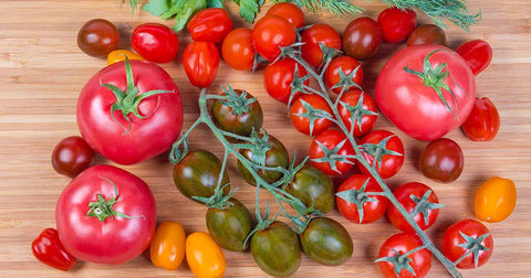 Tomatoes - Route 7 Provisions