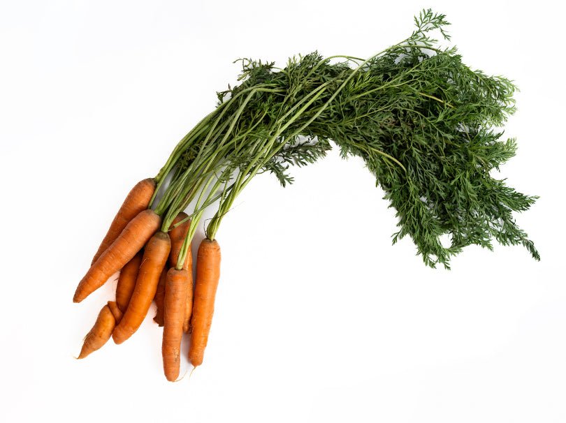 Carrots Route 7 Provisions carrots-route-7-provisions