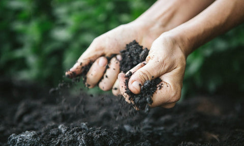 Stop Treating Soil Like Dirt - Route 7 Provisions