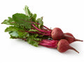 Beets - Route 7 Provisions