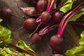 Beets - Route 7 Provisions