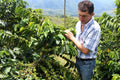 Finca la Maria Coffee Beans - Route 7 Provisions